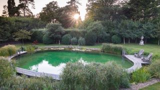 natural swimming pools