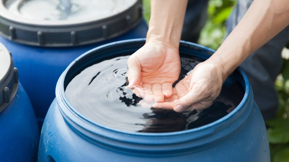 Is drinking rainwater safe?