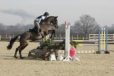 Arena eventing at Weston Lawns