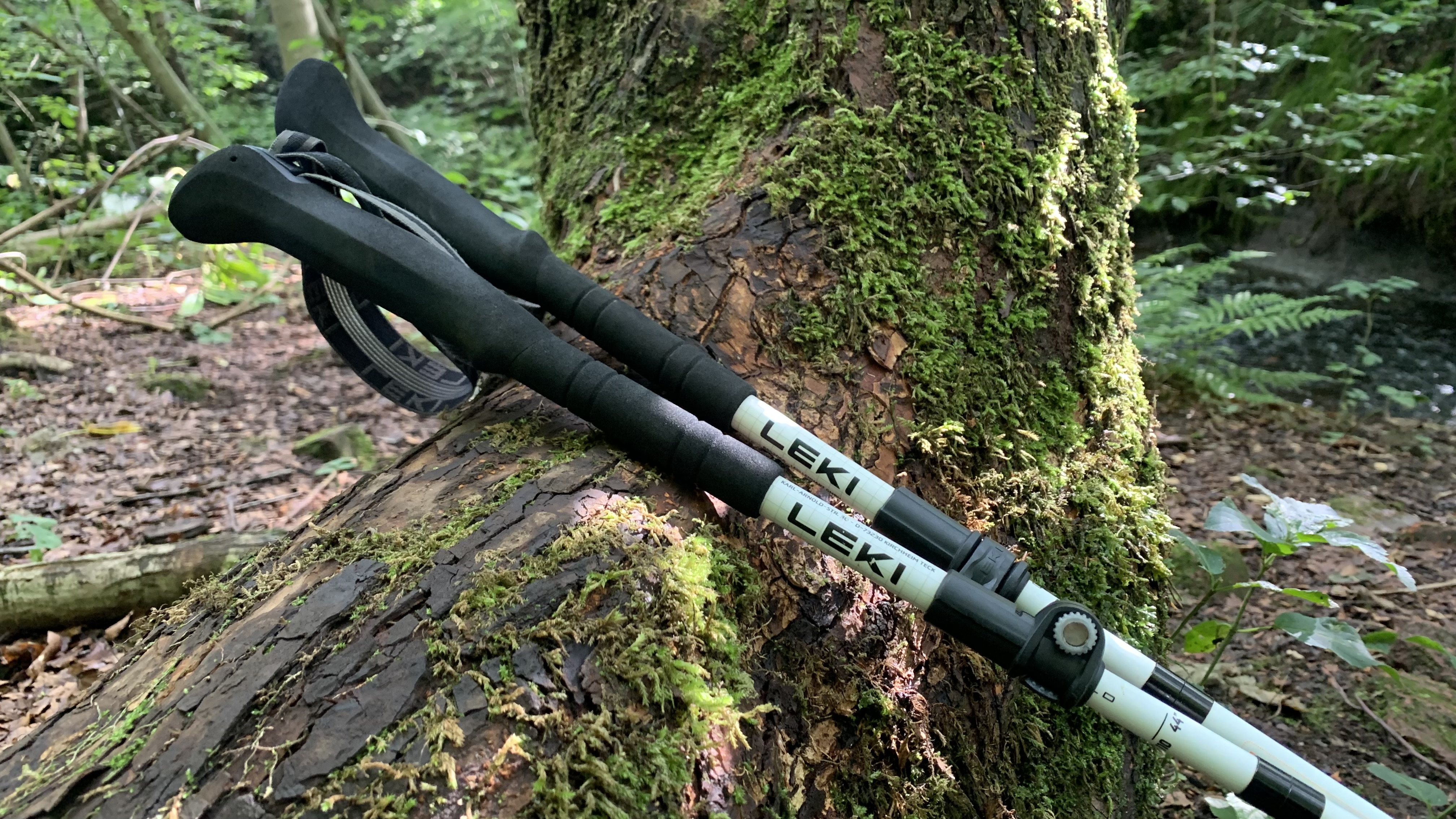 Leki Skytera FX Carbon SL poles leaning against a tree