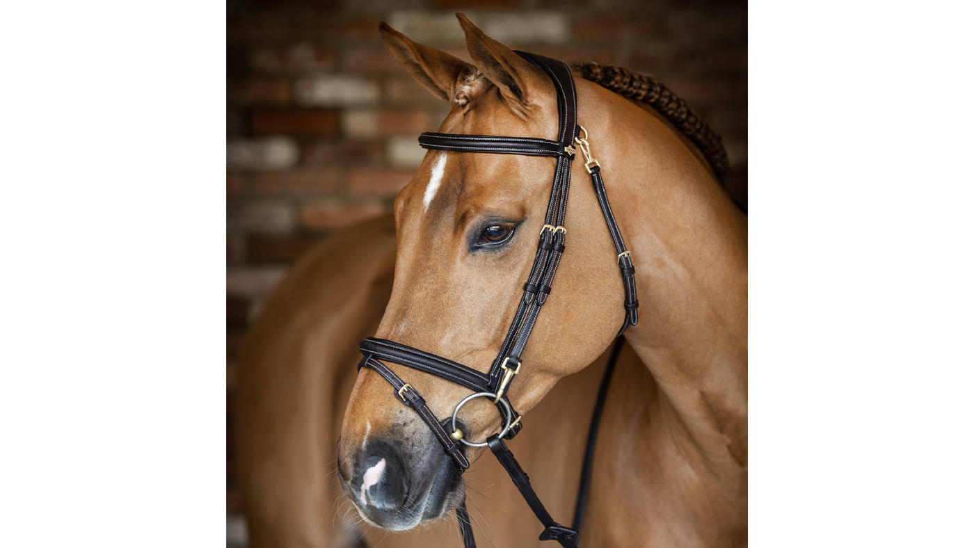 LeMieux Kudos Work Bridle