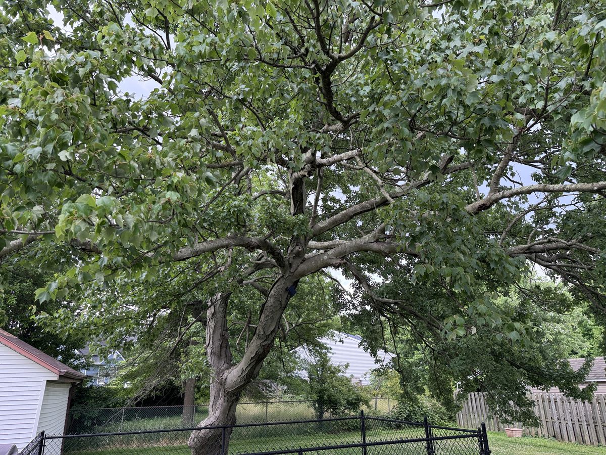 Apple iPhone 15 Pro main camera sample.