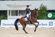 AACHEN2018_DR_WERTH-19537.jpg