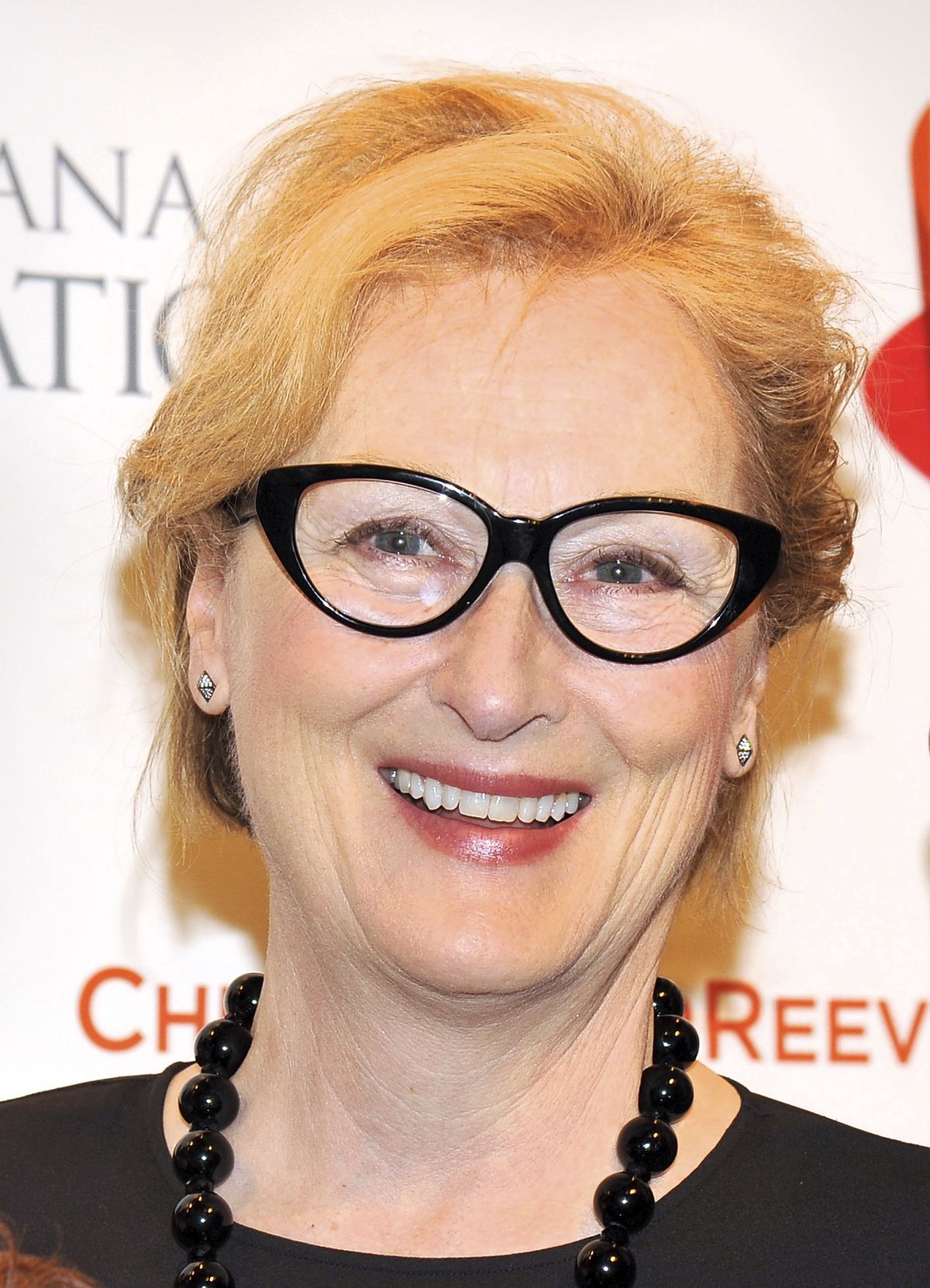 Meryl Streep attends the 2012 Christopher &amp; Dana Reeve Foundation's A Magical Evening Benefit