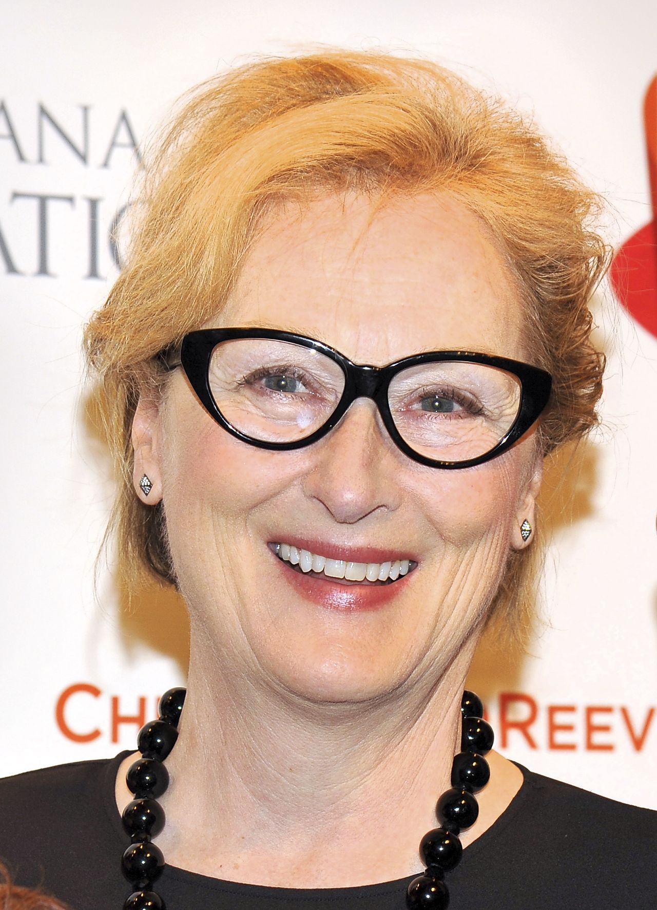 Meryl Streep attends the 2012 Christopher &amp; Dana Reeve Foundation's A Magical Evening Benefit