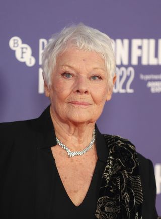 gray hair - judi dench