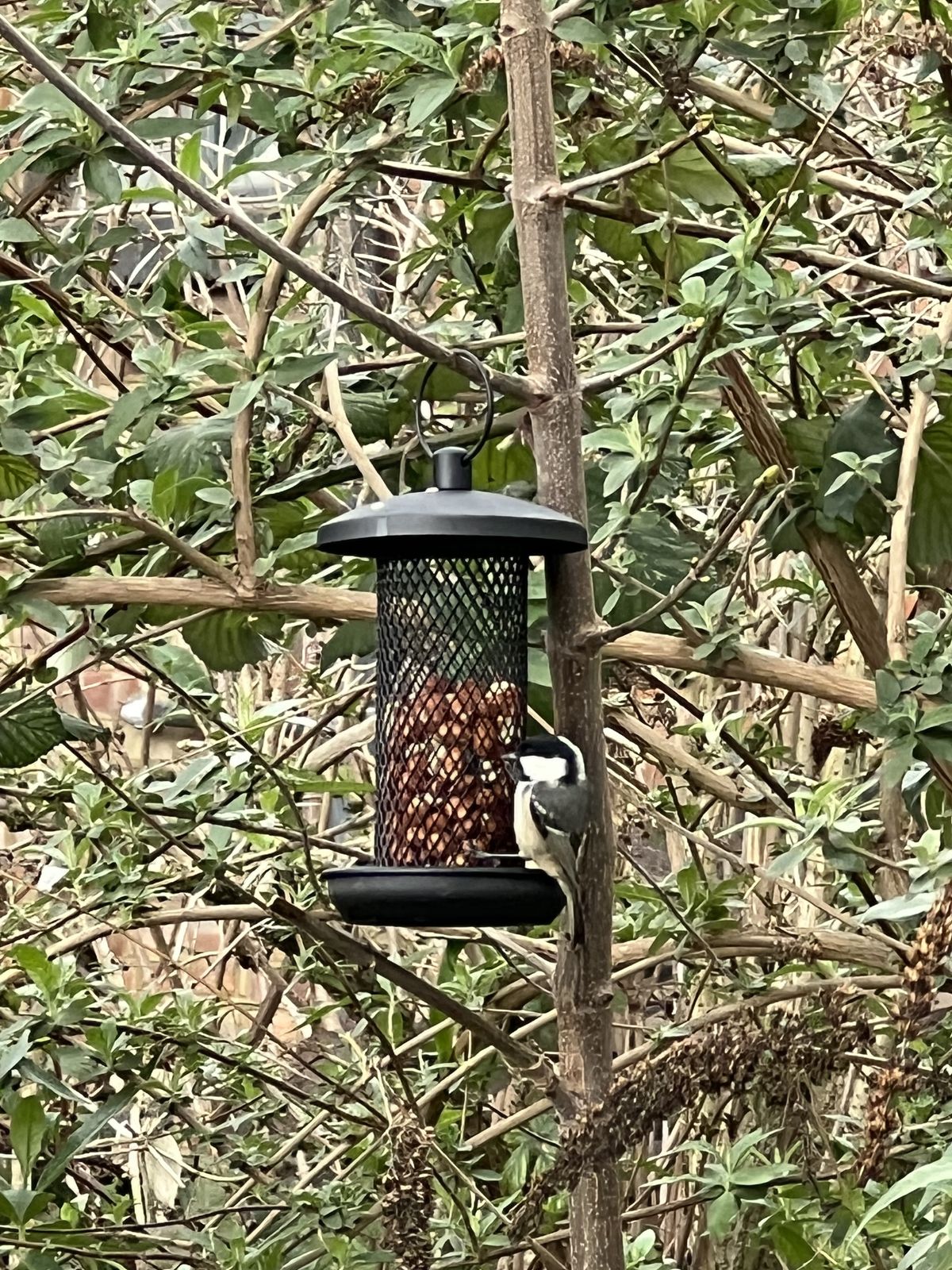 iPhone 14 Pro sample images