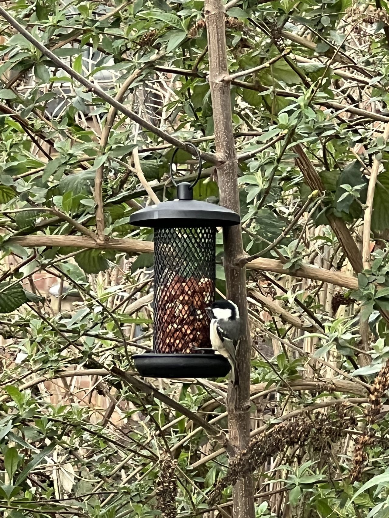 iPhone 14 Pro sample images