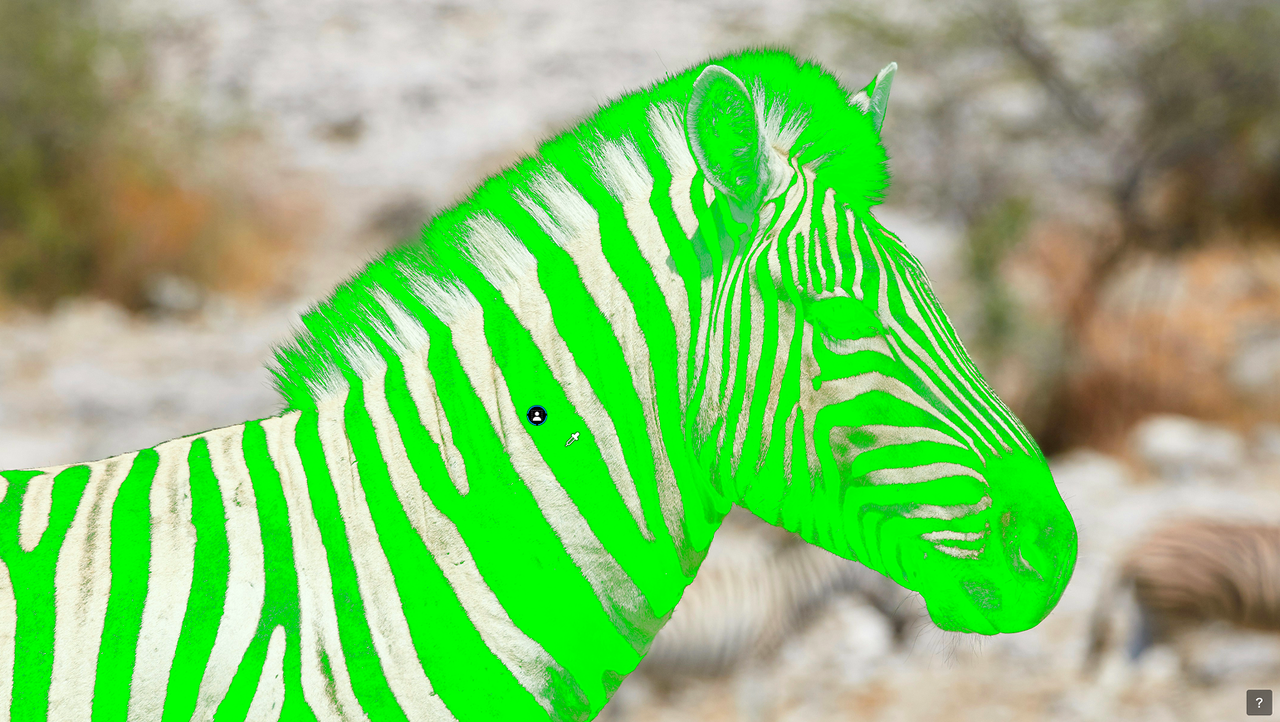 DxO PhotoLab 10 screen shot of zebra stripes masked