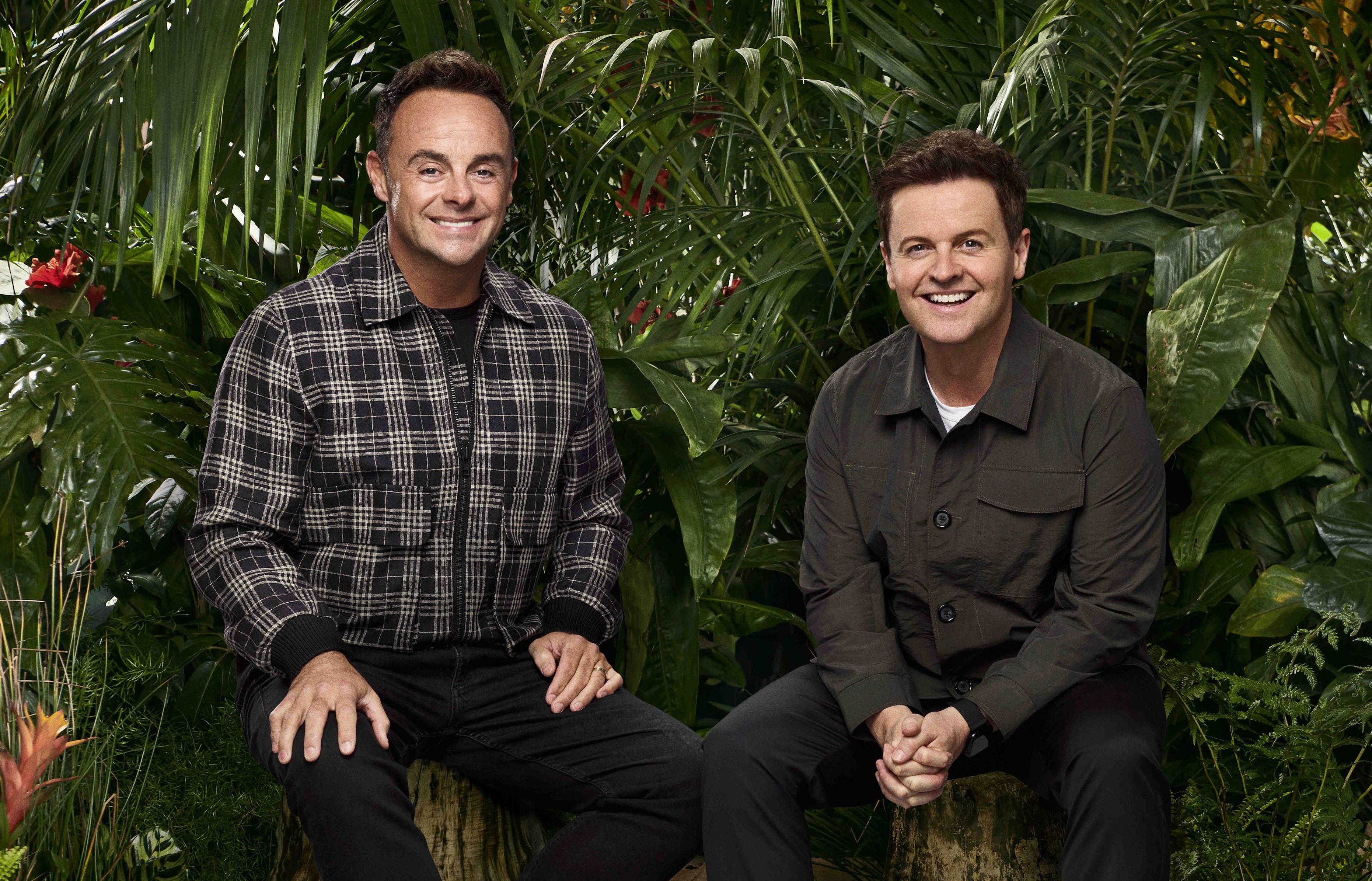 Ant and Dec host I'm a Celebrity