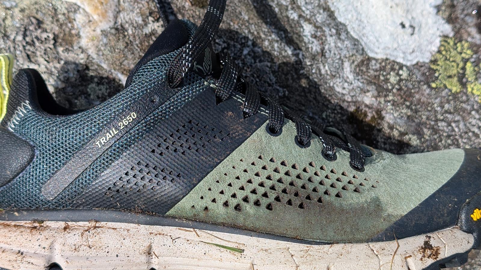 Danner Trail 2650 review