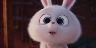 Kevin Hart as Snowball in The Secret Life of Pets