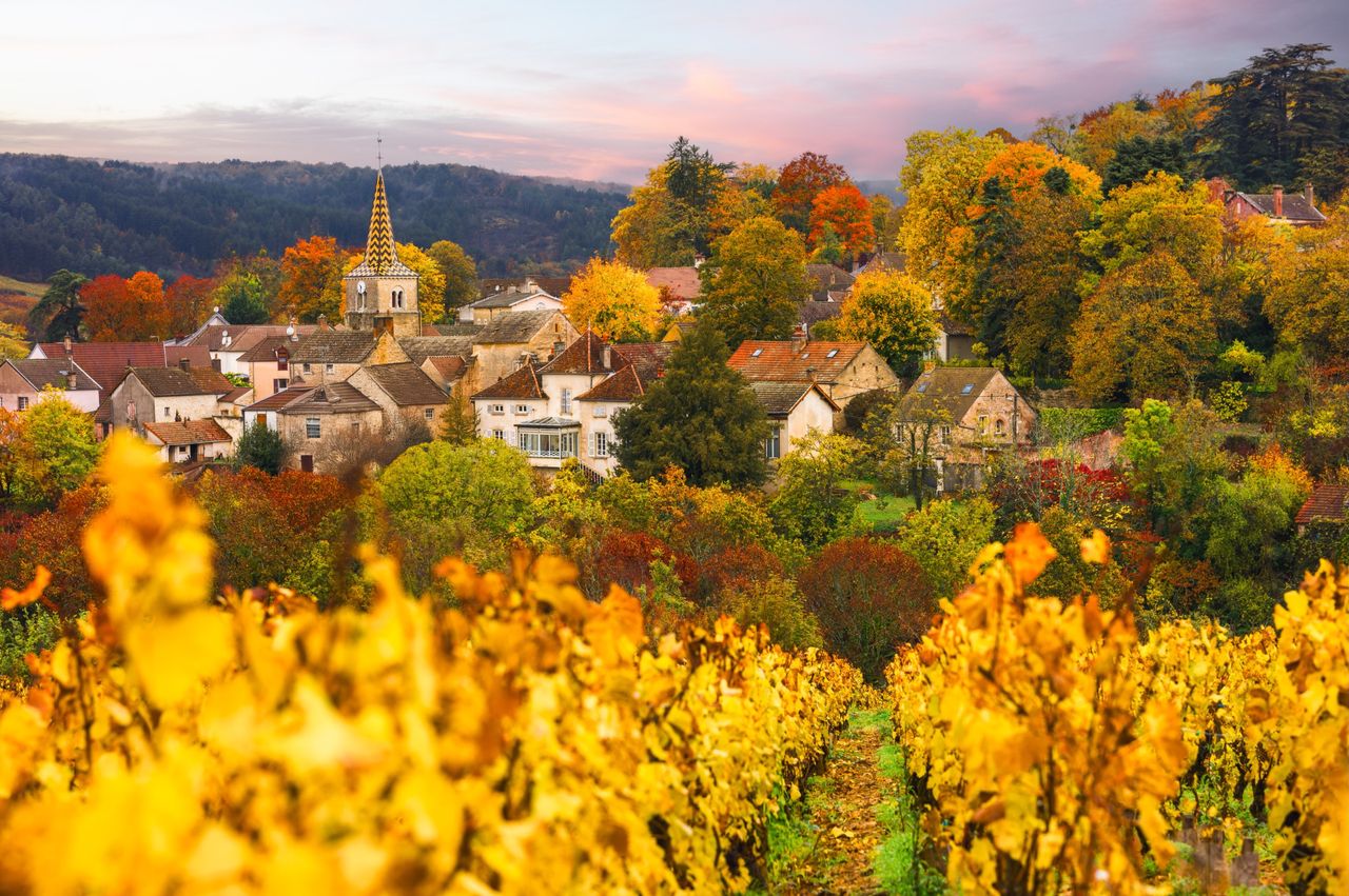 A small French village surrounded by golden foliage