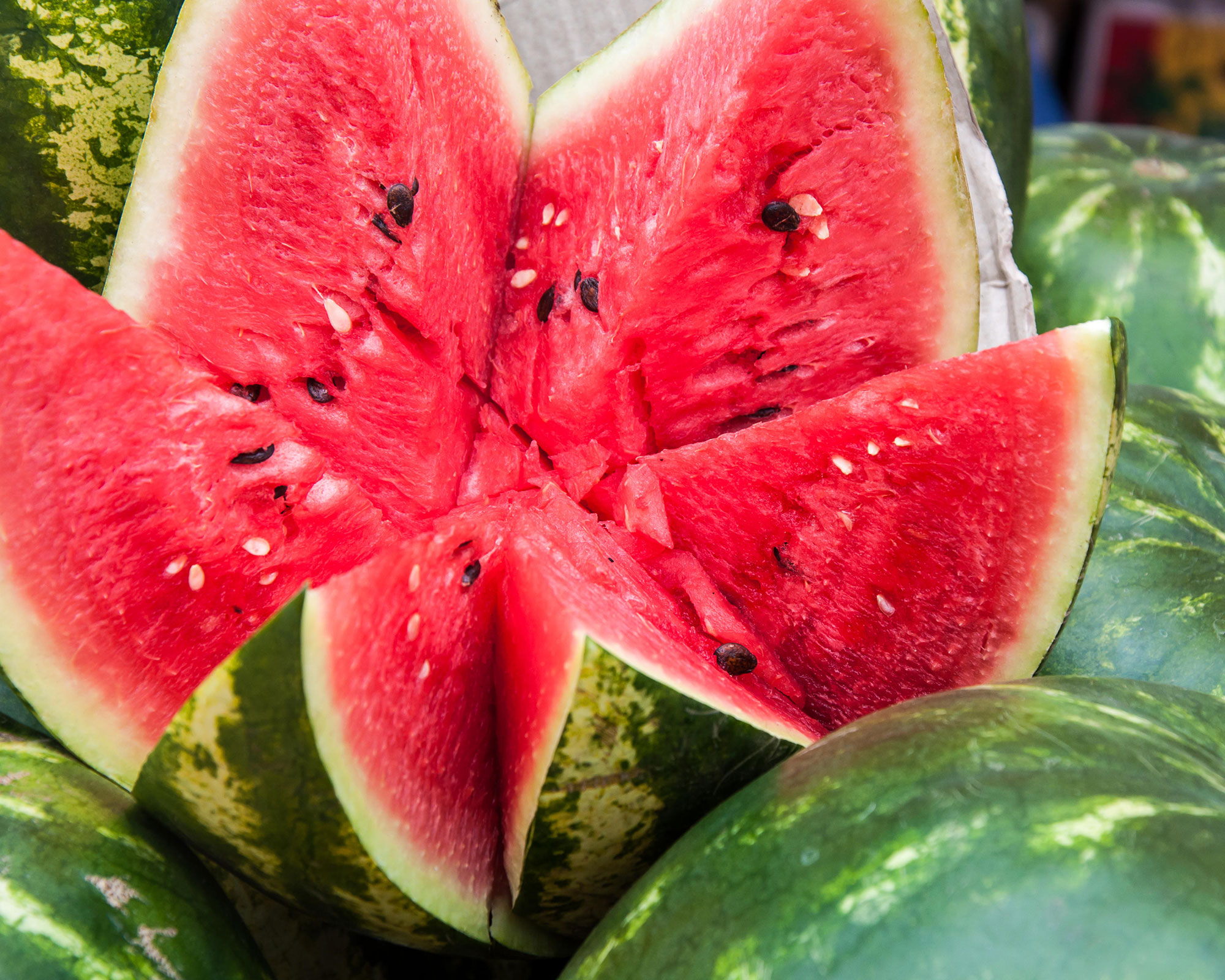 watermelon slices