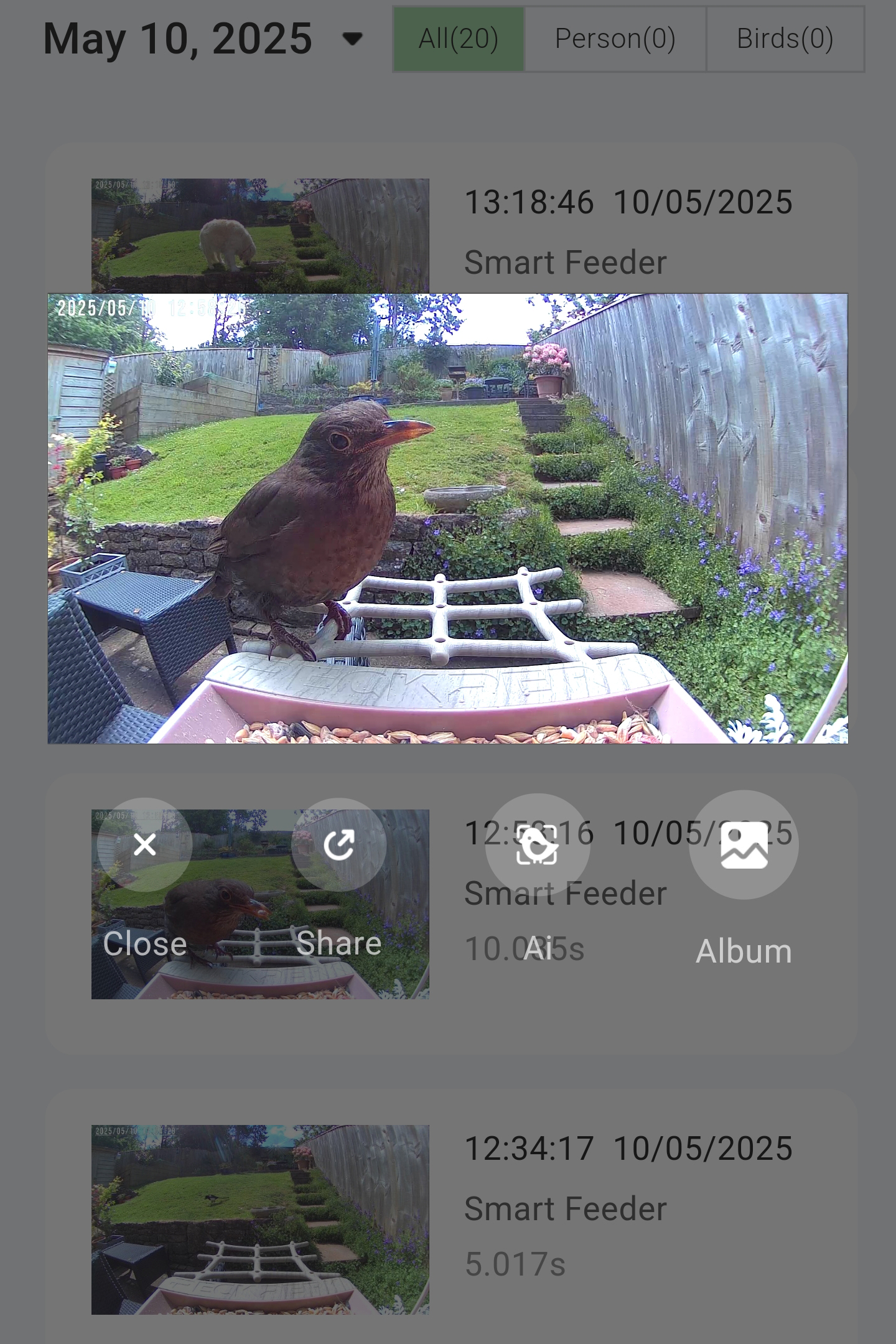 PeckPerk bird camera review