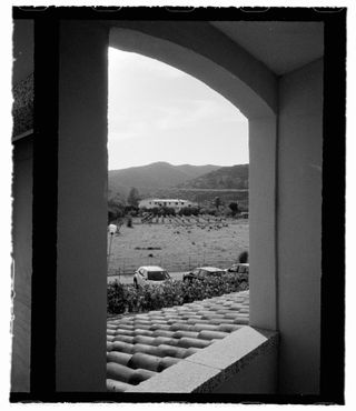 A vineyard seen through an arch in a building, shot on 35mm half-frame film with film borders around the outside of the image