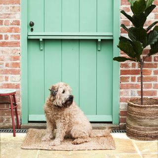 green door with bricked wall and doormat and dog