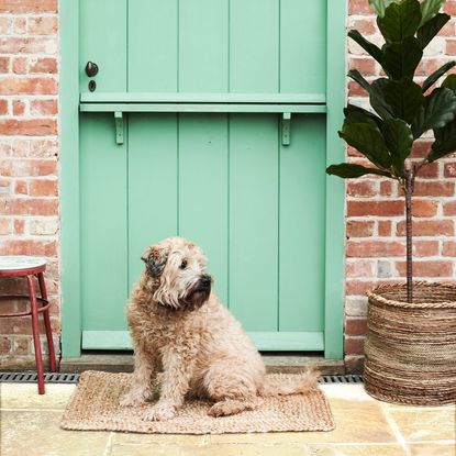 green door with bricked wall and doormat and dog