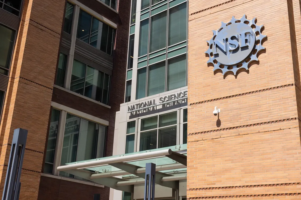 'Building AI literacy, proficiency, and fluency': how the US National Science Foundation is planning a nationwide AI workforce expansion
