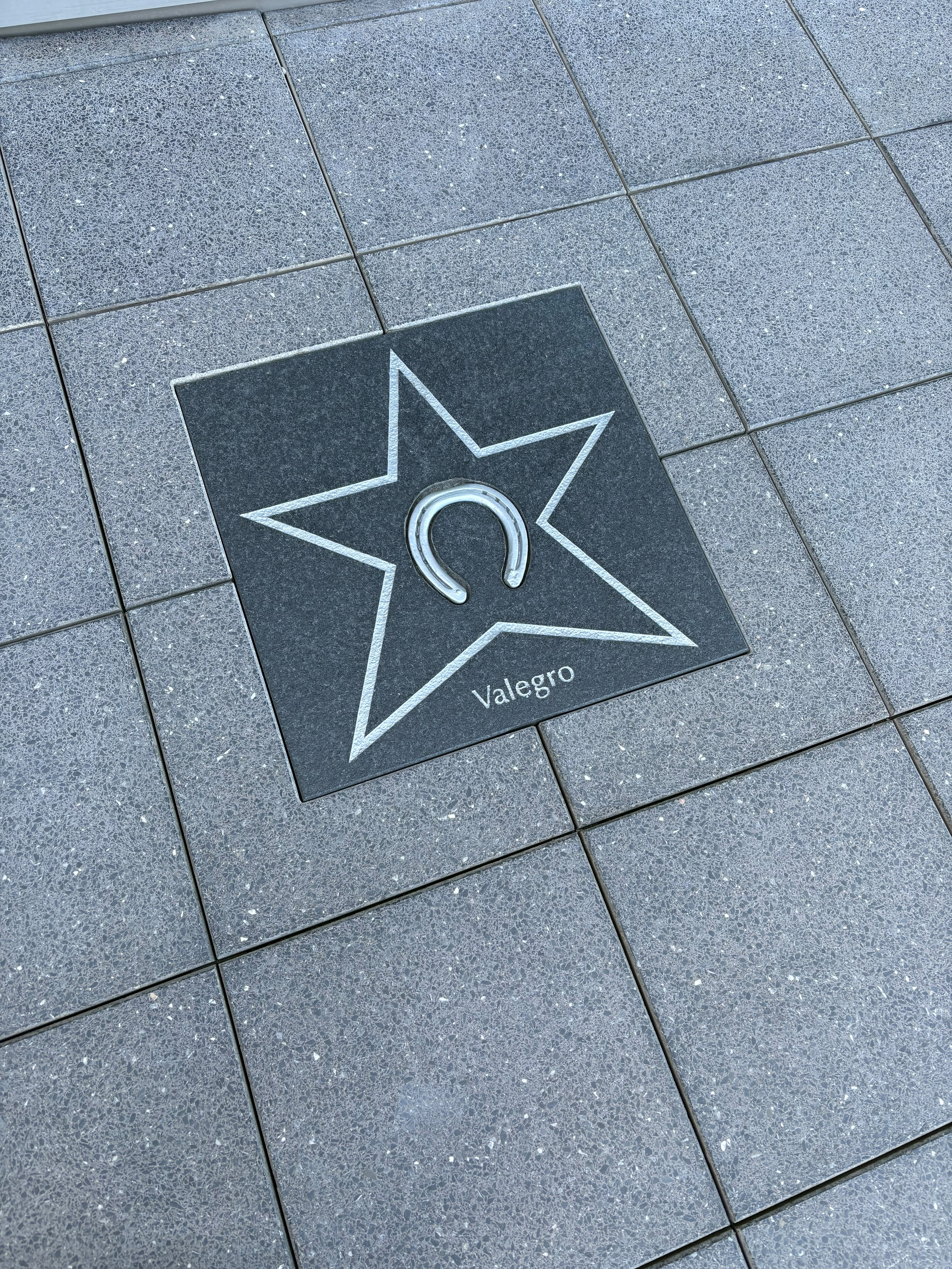 A horse shoe belonging to Vaegro set into ground at Aachen