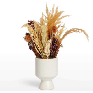 range dried floral display