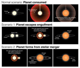 A storyboard explains the possible scenarios that could have led to the survival of a planet in orbit around a red giant star.