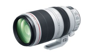 best lenses for bird photography: Canon EF 100-400mm f/4.5-5.6L IS II USM