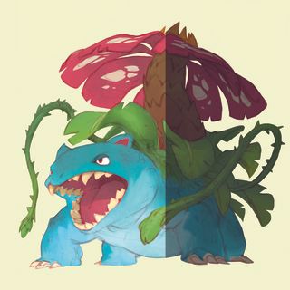 Venusaur art