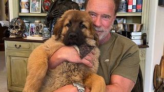 Arnold Schwarzenegger introduces new dog Schnitzel
