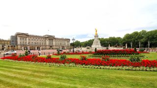 Buckingham Palace and its gardens