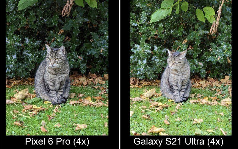 Pixel 6 Pro Vs Galaxy S21 Ultra Zoom 4x