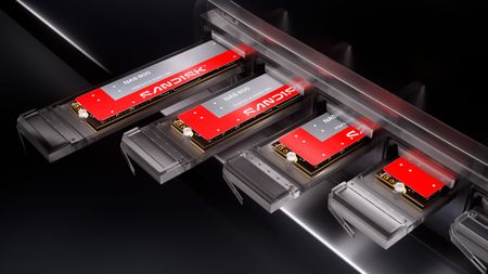 Sandisk NAS 800