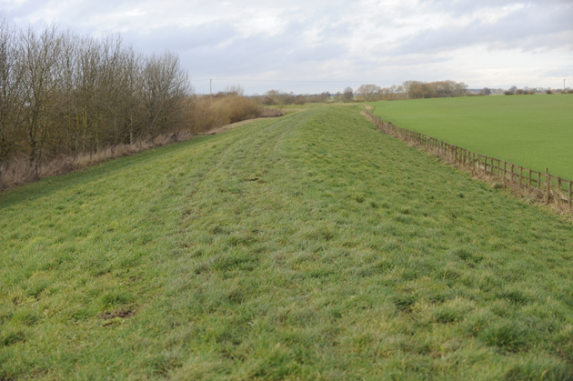Nicola Wilson Yard Visit 07 01 2015