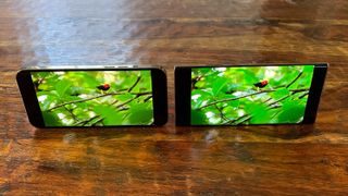 iPhone 12 Pro Max and Galaxy Note 20 Ultra display comparison