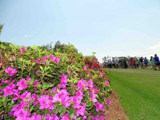 Blue skies brought Augusta National to life on Wednesday