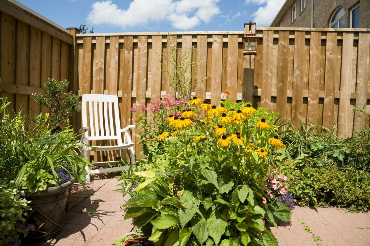 Ornamental Urban Garden Full Of Plants