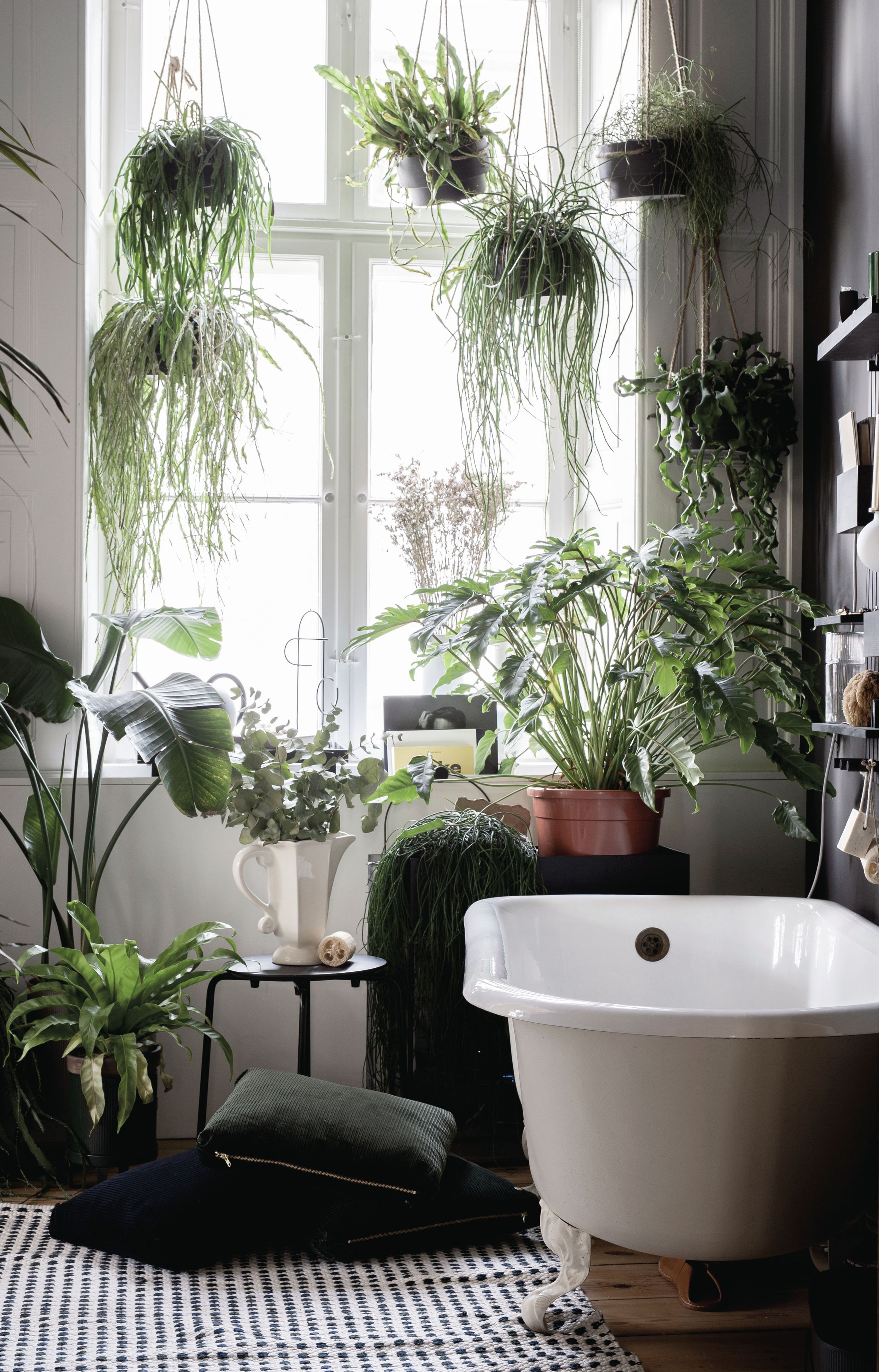 cuarto de Baño lleno de plantas de interior