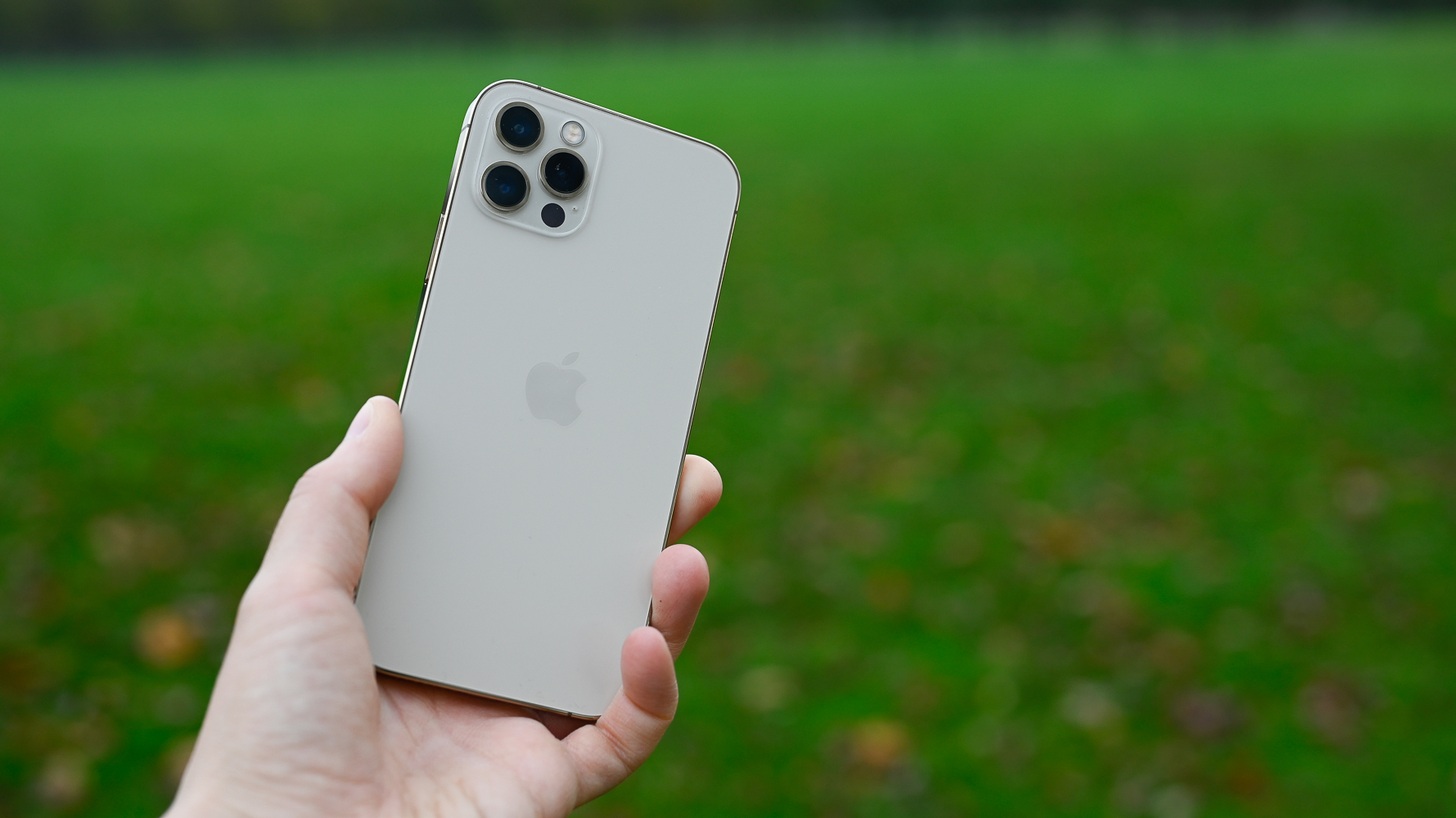 Is The iPhone 12 Pro Worth It? For Budding Photographers, The Answer Is Yes  - Forbes Vetted