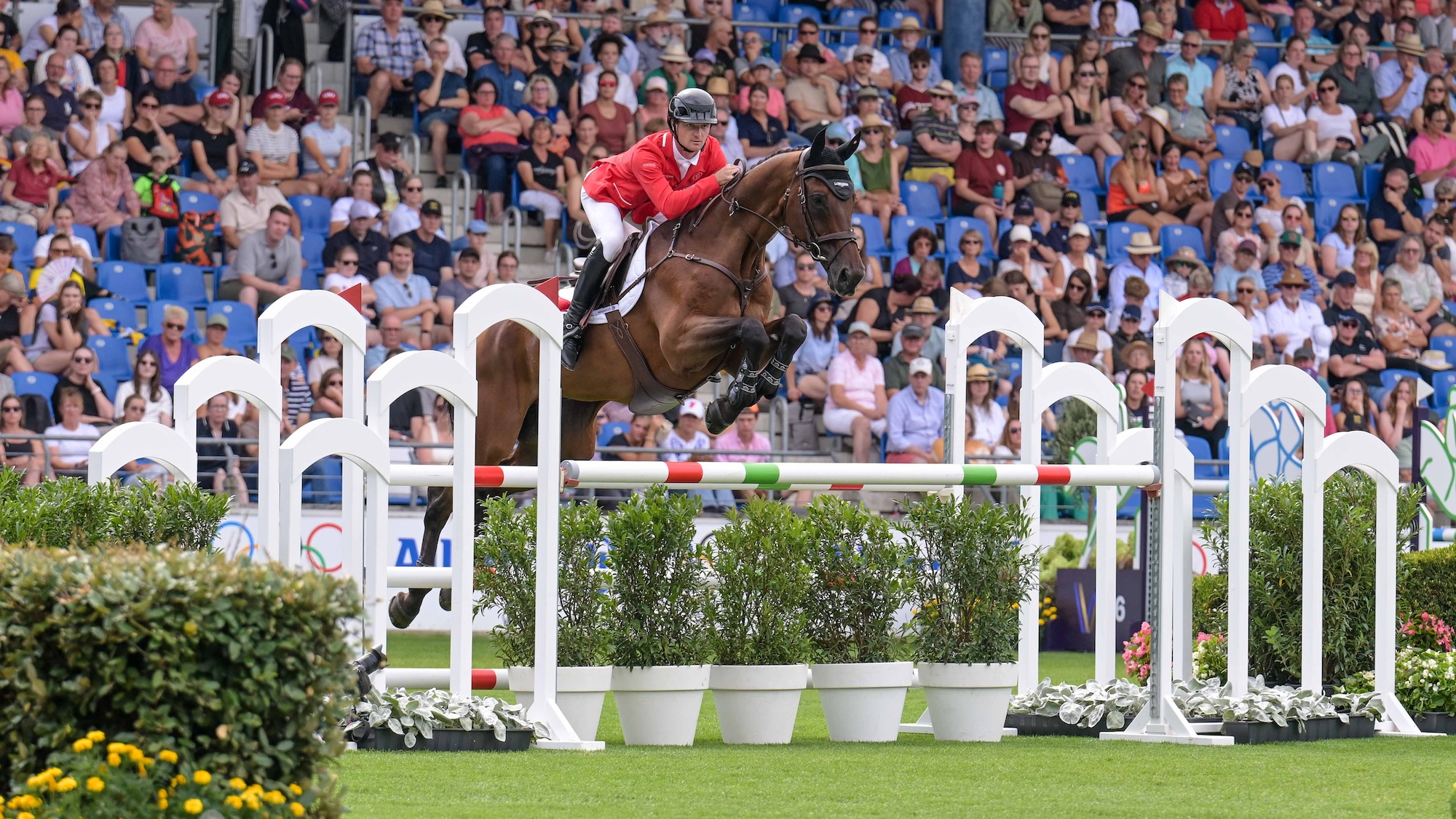 Grandeur De Lully showjumping at Aachen World championship eventing
