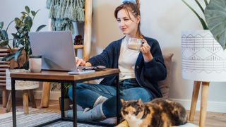 lady on laptop in small apartment with cat