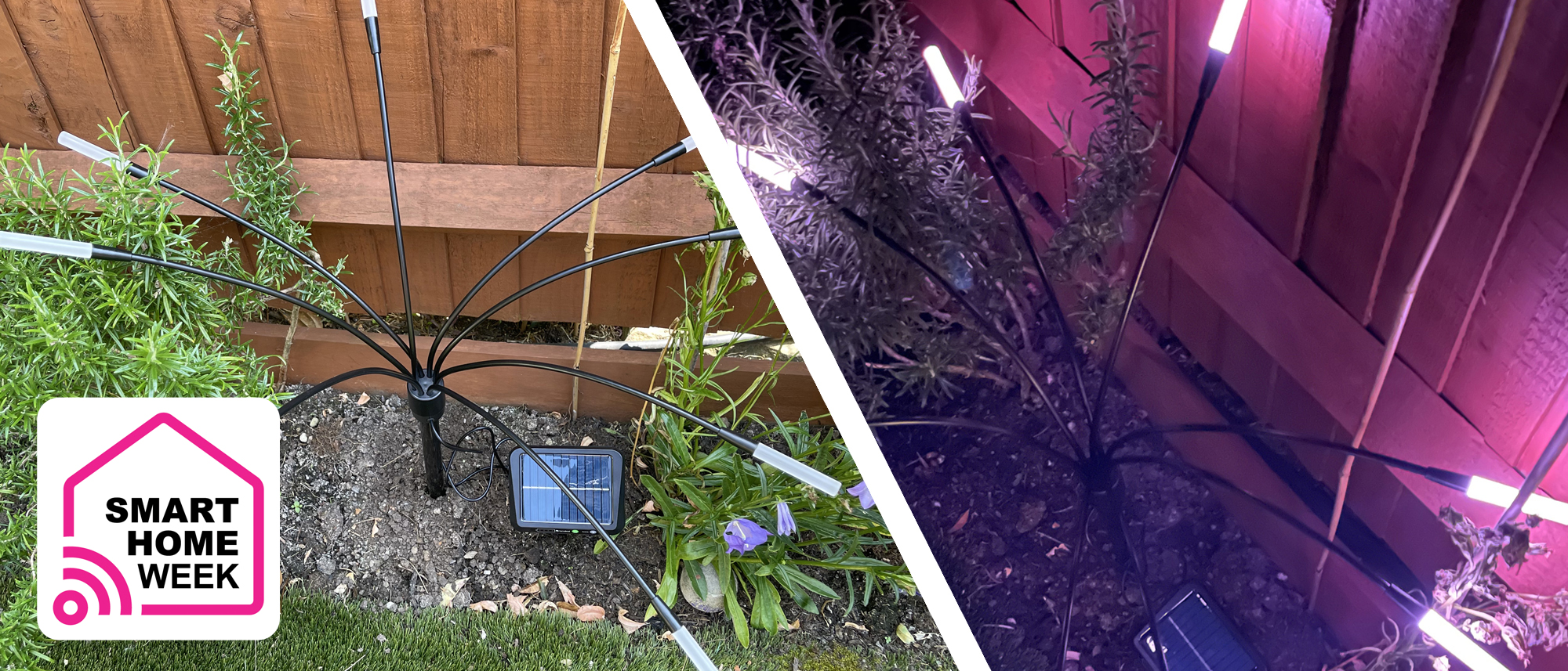 Nanoleaf Solar Garden Lights switched off during the day and illuminated purple at night