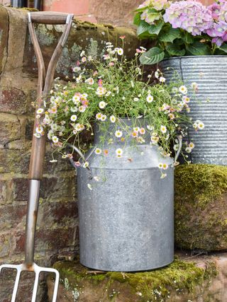 zinc planter filled with flowers