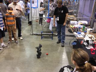 This ball-kicking robot may have been the cutest thing at Maker Faire Bay Area on May 18, 2013 in San Mateo, Calif.