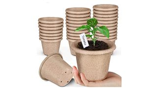 set of peat pots