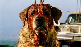 Cujo bloodied and waiting for a victim
