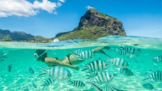 woman snorkeling with fish in Mauritius