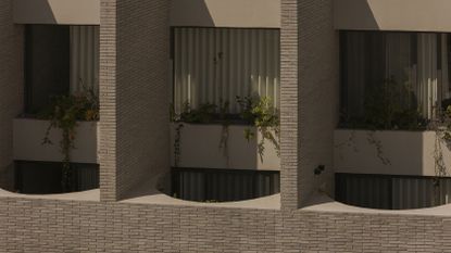Mexican house designed as a refuge, tall walls, blind from street, plants and minimalist serenity inside
