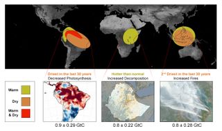 The last El Niño affected the amount of CO2 that Earth's tropical regions released into the atmosphere, and in each of the three tropical regions observed, the results were slightly different.