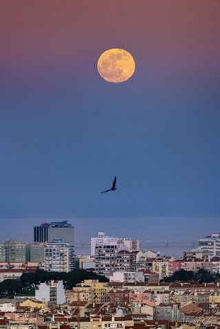 A cityscape view captured from the highest point of Lisbon shows a single shot of the first full moon and penumbral lunar eclipse of the year, rising against the anti-twilight arch above the capital of Portugal, on Jan. 10, 2020. The Tagus River is visible in the background.