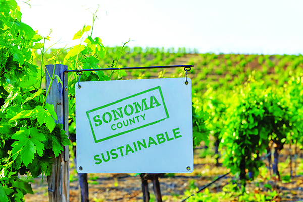 Sonoma-County-growers-hope-to-make-the-wine-growing-region-the-worlds-most-sustainable.jpg